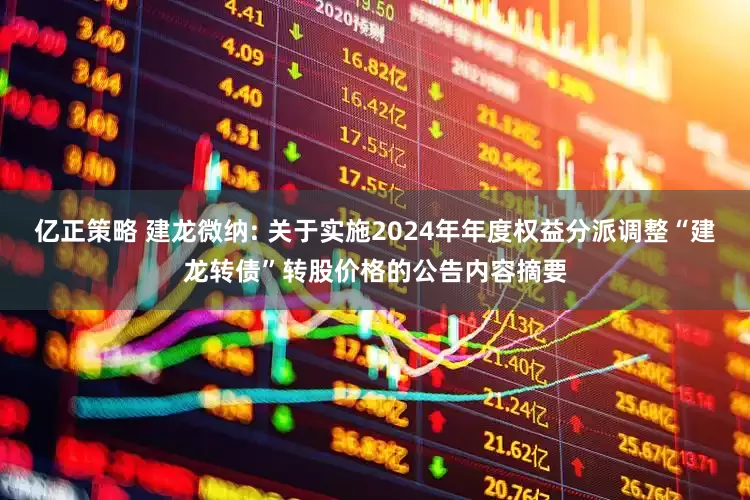 亿正策略 建龙微纳: 关于实施2024年年度权益分派调整“建龙转债”转股价格的公告内容摘要