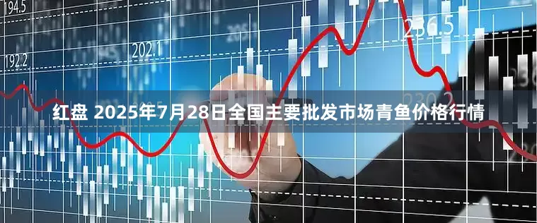 红盘 2025年7月28日全国主要批发市场青鱼价格行情