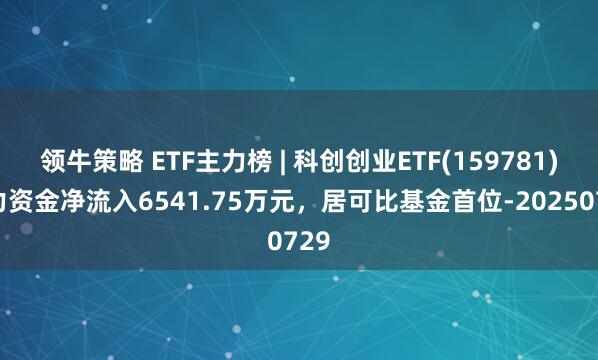 领牛策略 ETF主力榜 | 科创创业ETF(159781)主力资金净流入6541.75万元，居可比基金首位-20250729