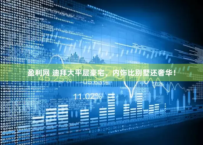 盈利网 迪拜大平层豪宅，内饰比别墅还奢华！