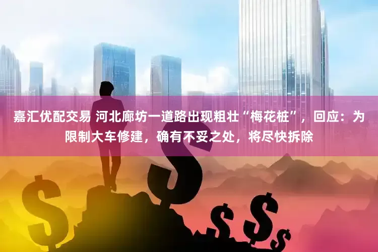 嘉汇优配交易 河北廊坊一道路出现粗壮“梅花桩”，回应：为限制大车修建，确有不妥之处，将尽快拆除